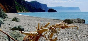 В начале бархатного сезона в Крым придут дожди и похолодание