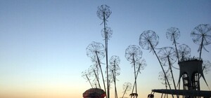 Организаторы 