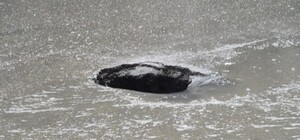 Как выглядит дорога с опасной дырой 