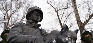 Исчезновение кота 