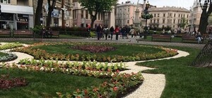У Львові за давнім проектом відновили клумбу біля Богородиці (фоторепортаж)