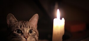 Знайди свою: які львівські вулиці сьогодні будуть без світла