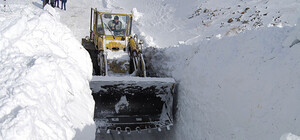 Засипало: як Львів бореться зі снігом