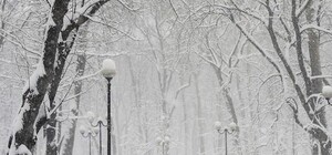 Засипало: як Львів звільняють від снігу