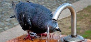 Не страдай: лайфхаки, как спастись от жары в квартире или офисе, если у вас нет кондиционера