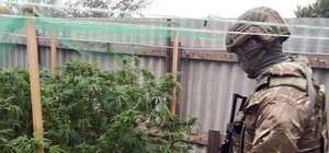 Не успели продать: под Запорожьем изъяли более 25 килограмм марихуаны